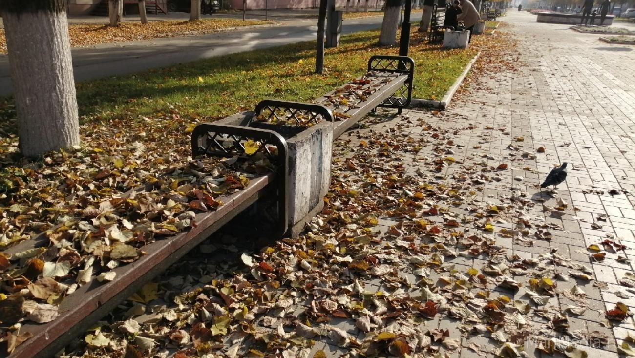 В Марий Эл последние дни «бабьего лета»