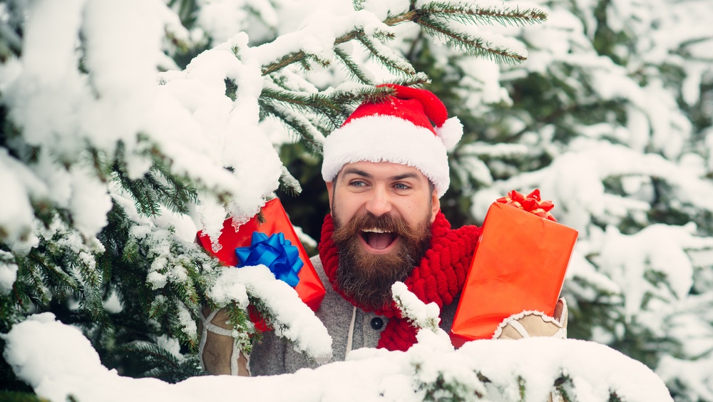 В Йошкар-Оле живую новогоднюю ель можно приобрести на «ёлочном базаре»