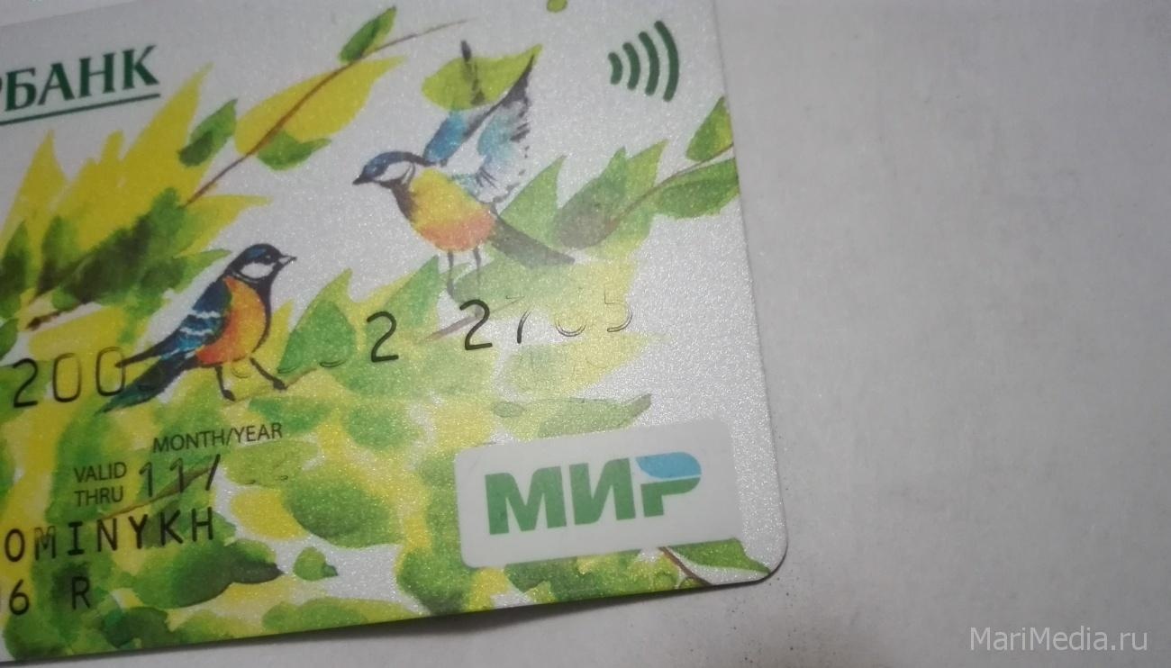 Платёжные карты «Мир» отвоёвывают рынок