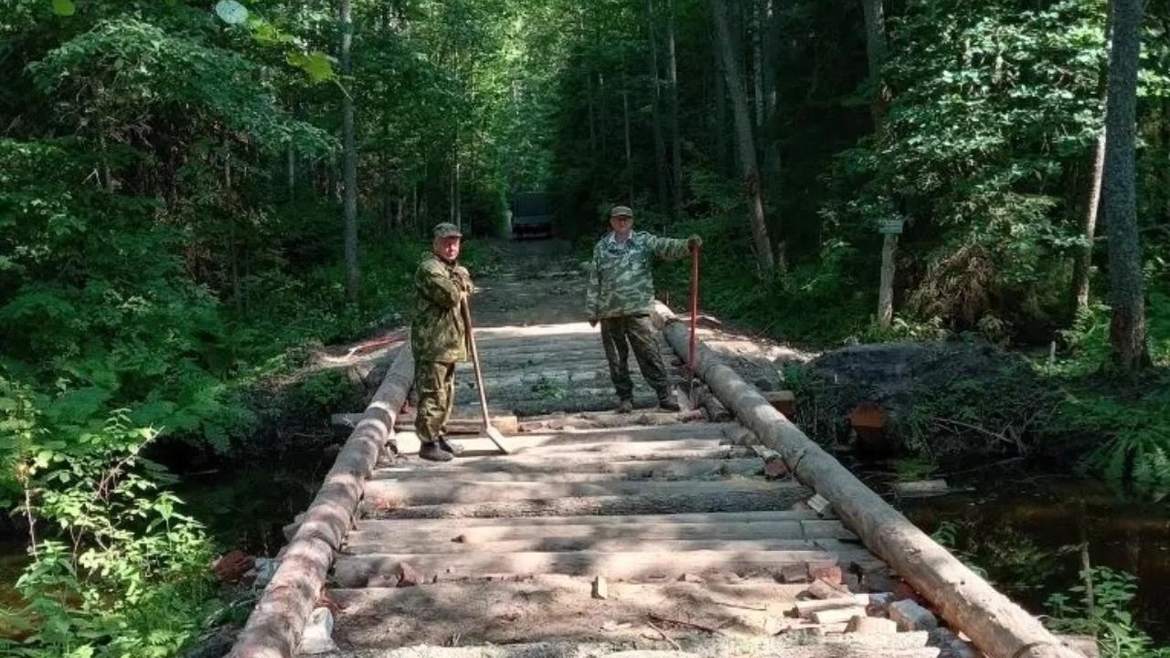 В заповеднике Марий Эл взялись за инструменты