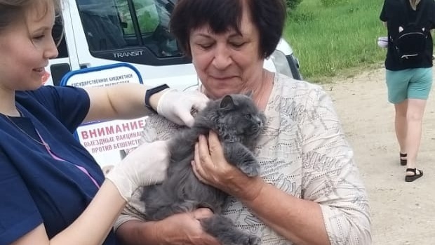 В деревне Савино привьют домашних животных от бешенства