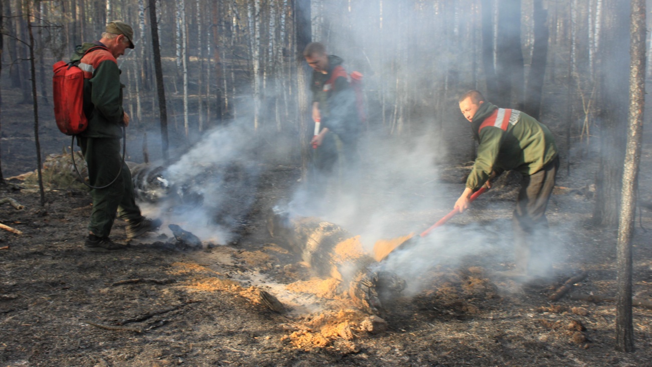 В Марий Эл на лесосеке произошёл первый пожар