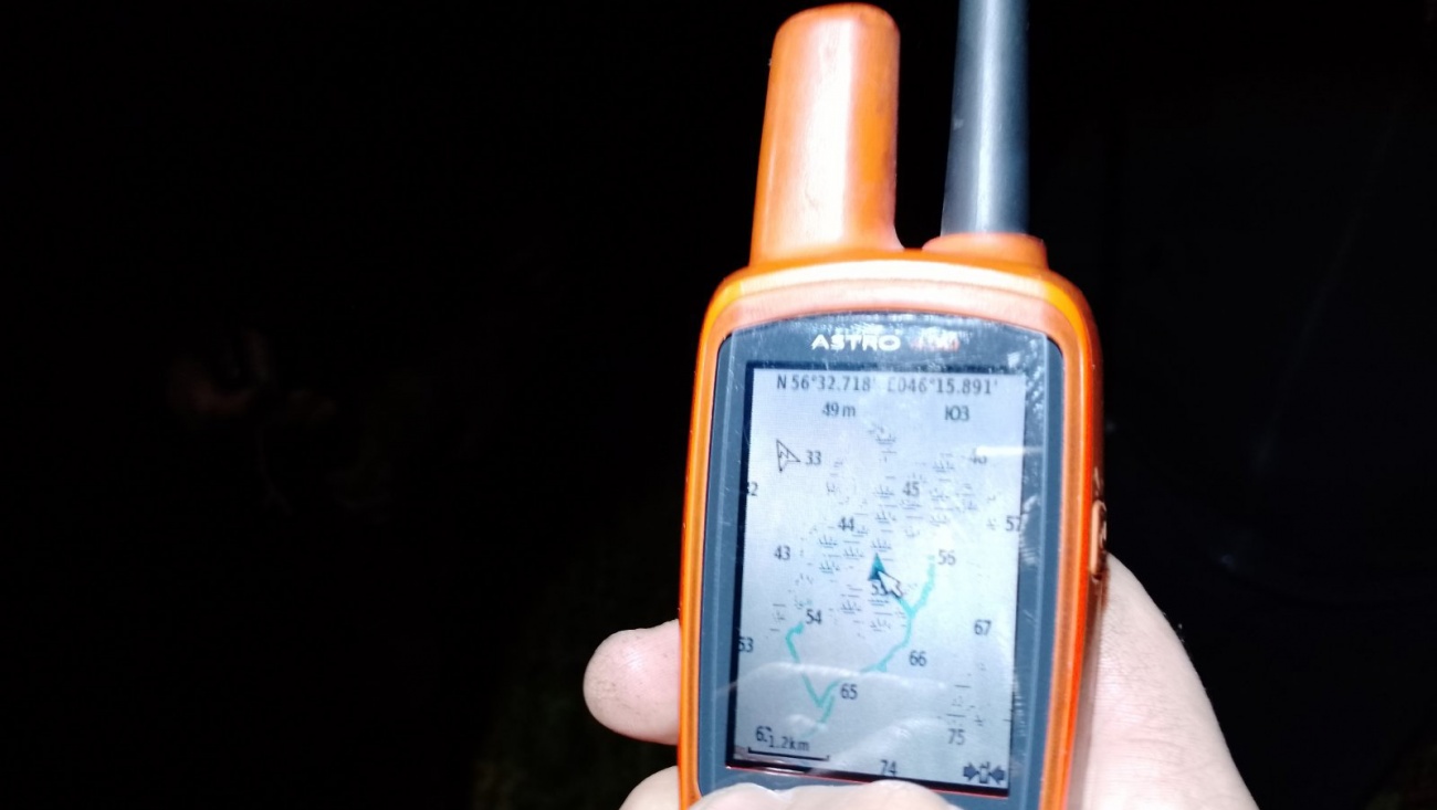 В лесу Юринского района до двух ночи искали 82-летнего дедушку