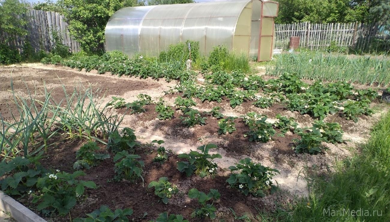 В Марий Эл мобильные пункты вакцинации будут развёрнуты в садах