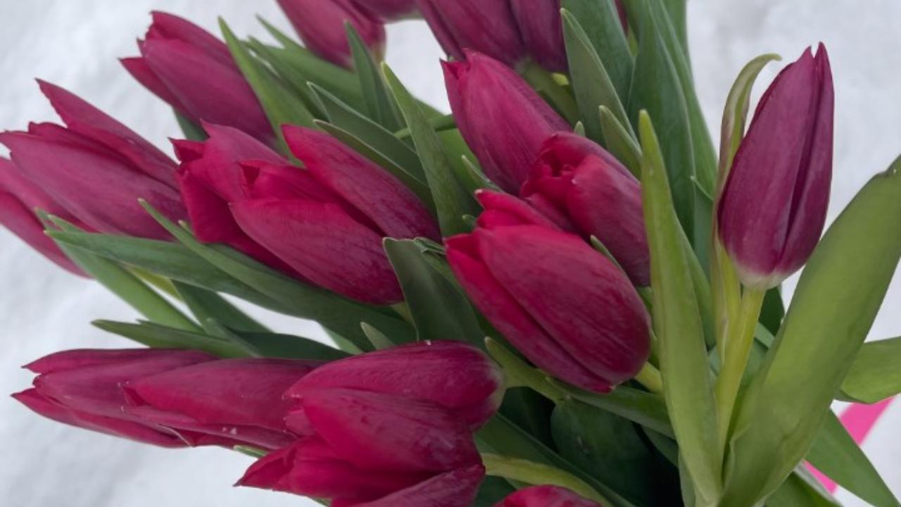 Эксперт рассказала, какие подарки не стоит дарить коллегам на 8 марта