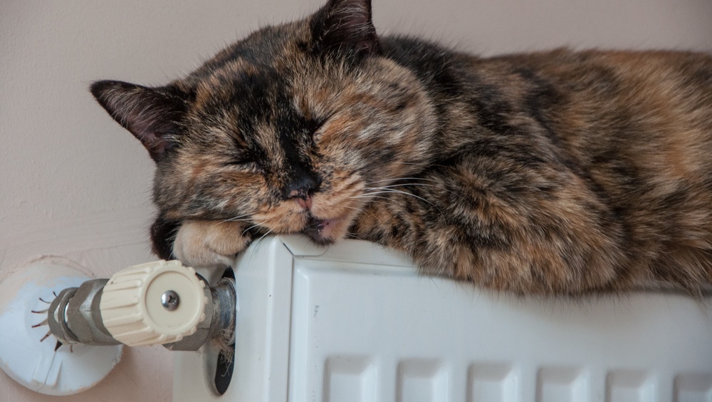 Включение отопления в жилых домах Йошкар-Олы ожидается на следующей неделе