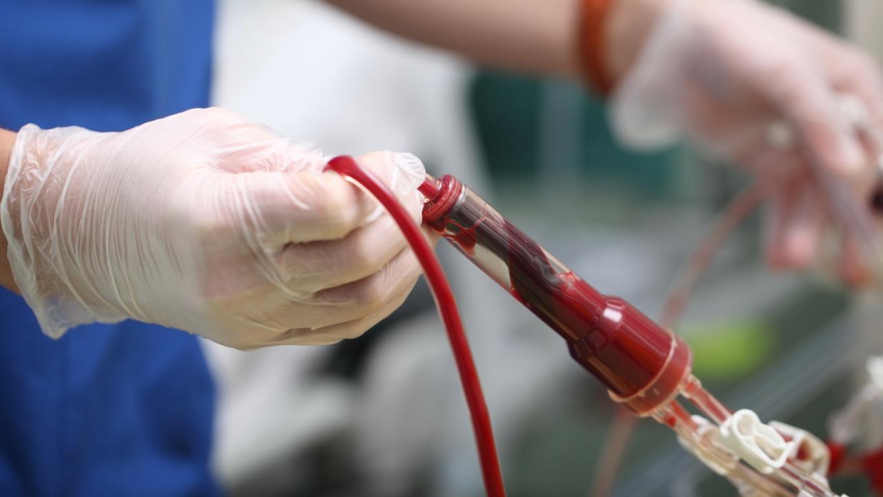 На следующей неделе в Йошкар-Оле РСПК будет принимать доноров крови без записи