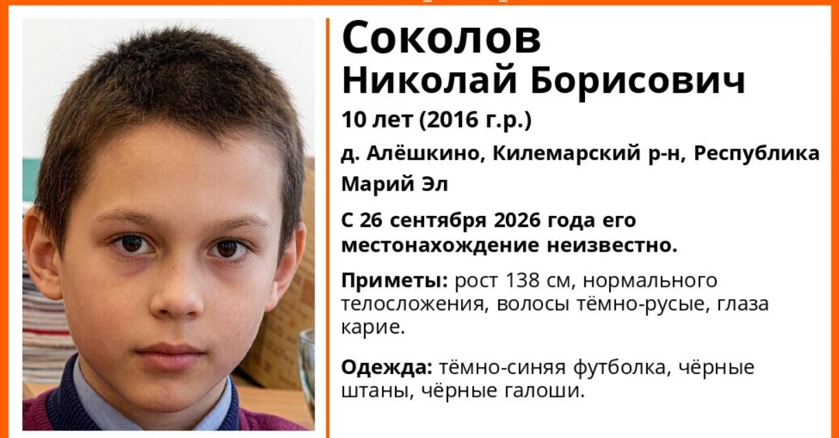 В Килемарском районе пропал 10-летний мальчик