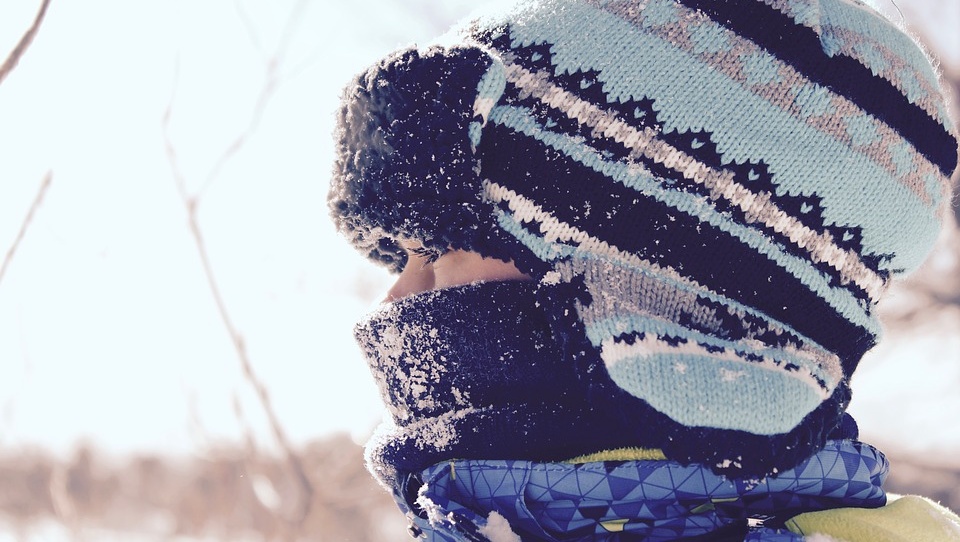 В Марий Эл прекратила работу паромная переправа через Волгу