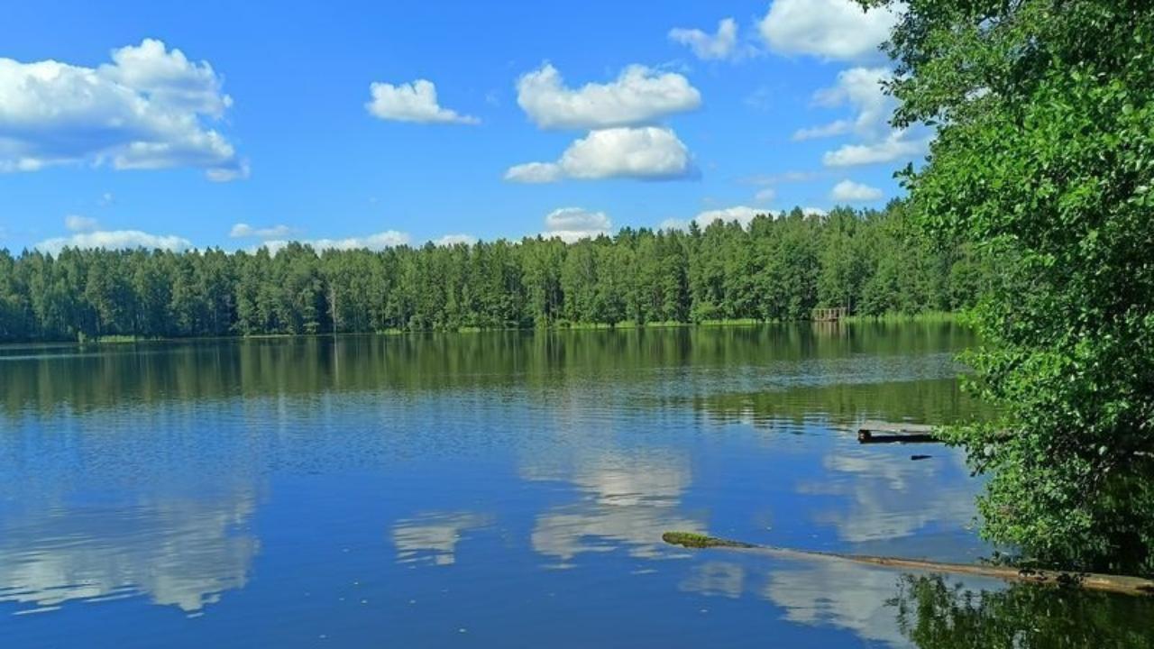 В Минприроды Марий Эл рассказали,  сколько в республике рек, ручьёв и озёр