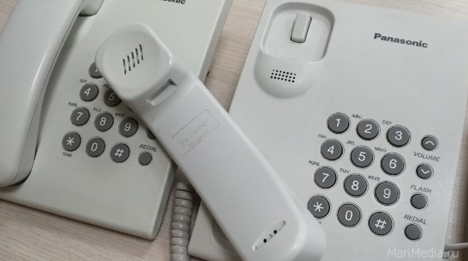 60 звонков поступило на «горячую линию» Управления Роспотребнадзора Марий Эл