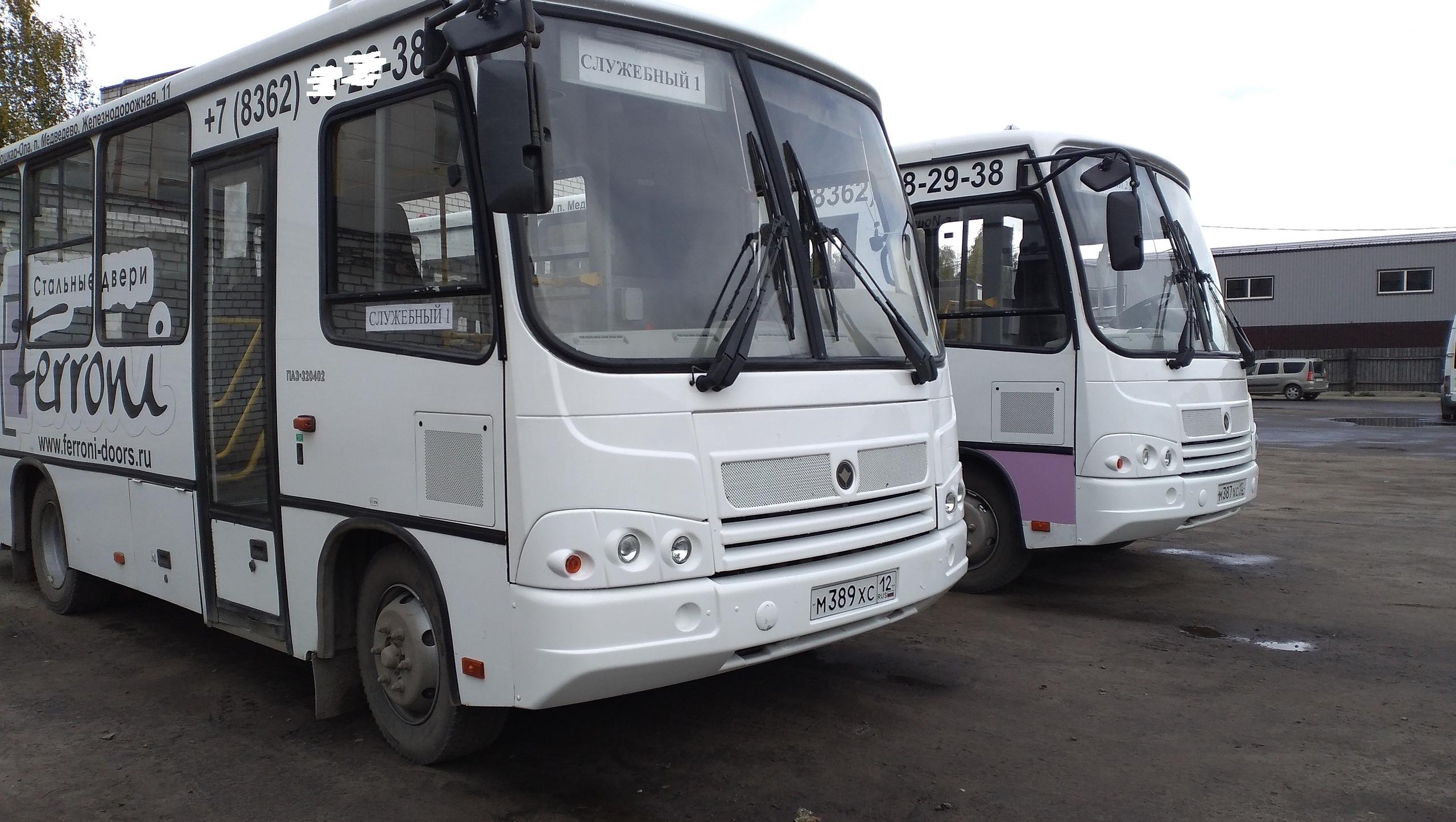 Из-за непогоды отменили рейсы в Чебоксары из Марий Эл