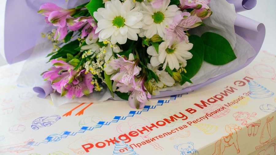 В Марий Эл стартовала новая программа поддержки семей «Подарок новорождённому»
