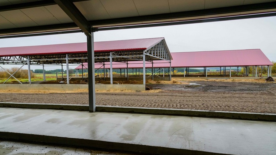 В Куженерском районе за 100 млн рублей строят животноводческий комплекс