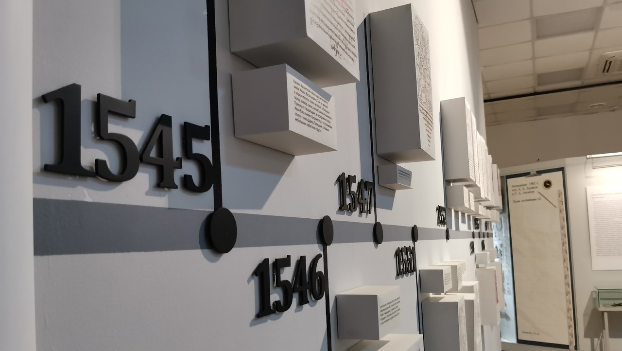 В Музее истории и археологии готовят к открытию выставку «470»