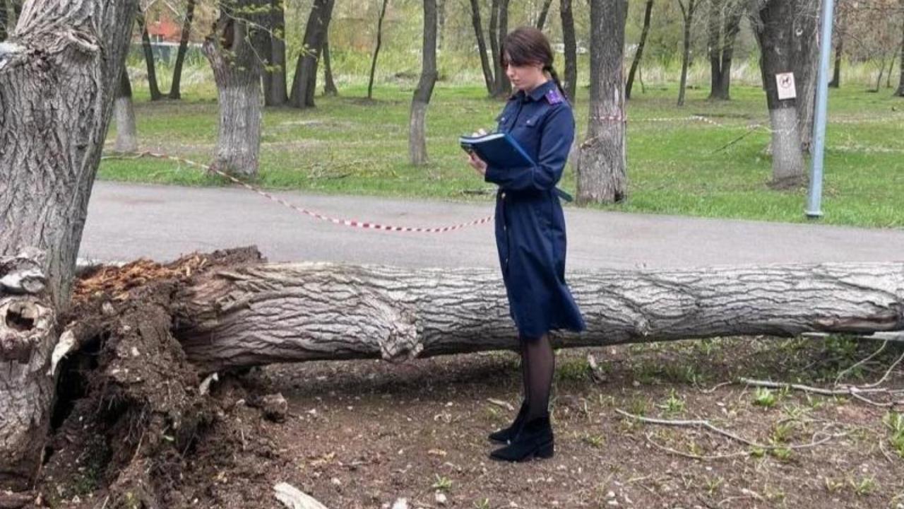 В ПФО во время урагана дерево насмерть задавило девочку