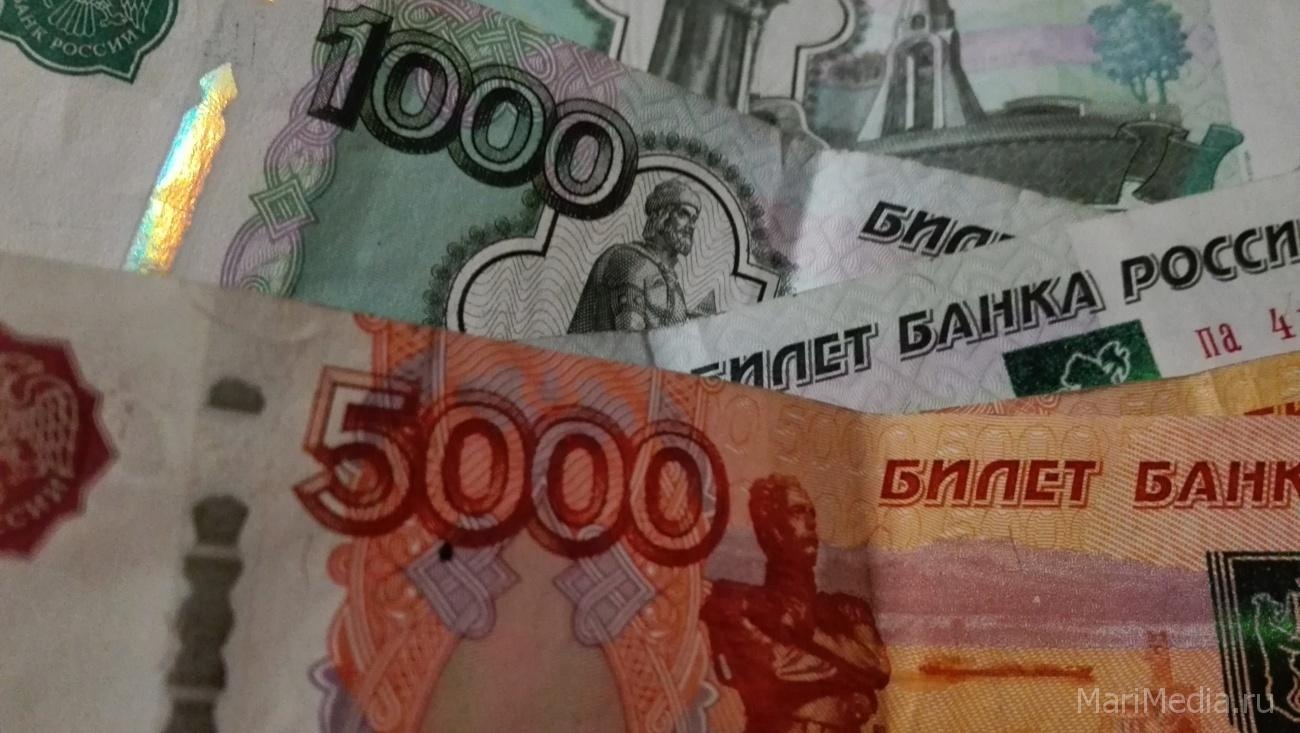 За двое суток у жителей Марий Эл похитили свыше 750 тысяч рублей