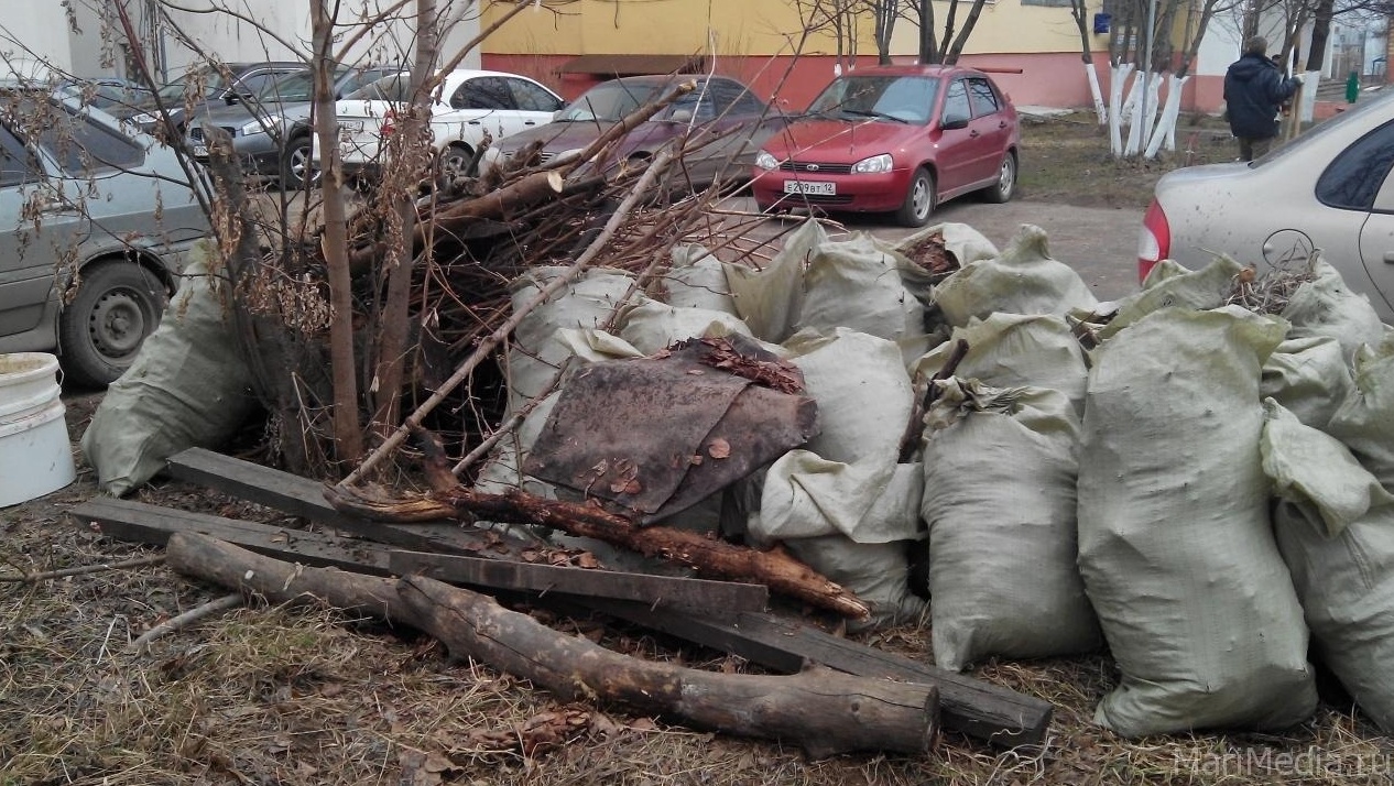 В Йошкар-Оле до 5 июня будут проходить субботники и экологические акции