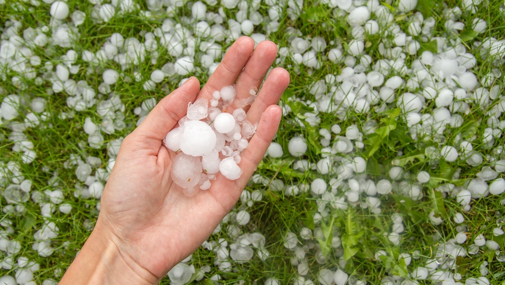 В Марий Эл ожидается гроза с сильным ветром и градом