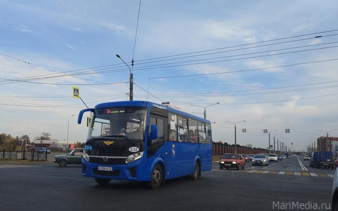 В Йошкар-Оле ураган повалил деревья на проезжую часть