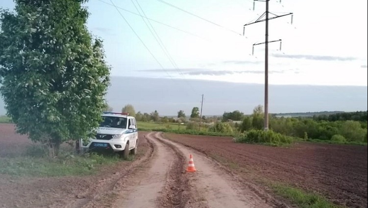 В Горномарийском районе пьяный 65-летний мопедист попал в ДТП