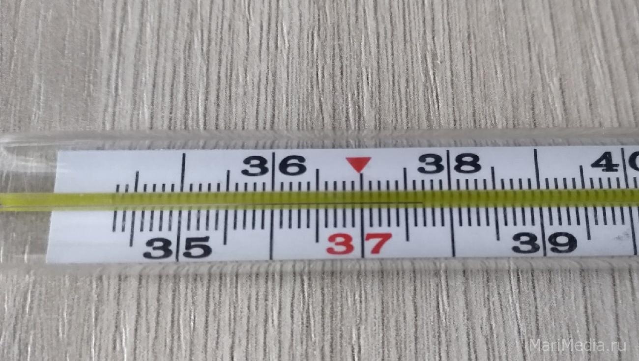 В Марий Эл заболеваемость ОРВИ ниже порогового уровня на 6%