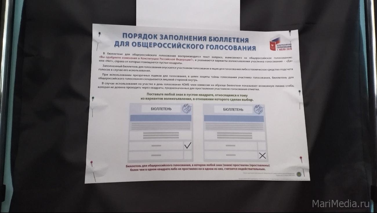 В Марий Эл явка на голосование по поправкам в Конституции составила 61,86%