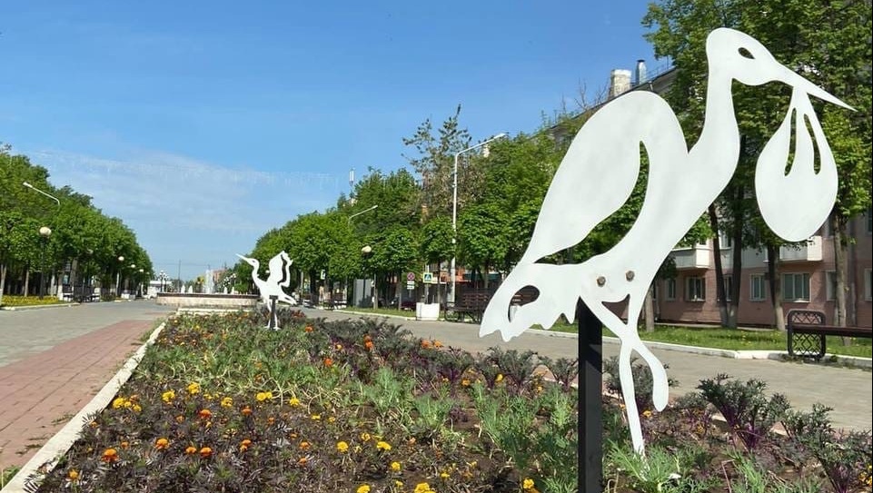 На цветнике возле Перинатального центра появились аисты