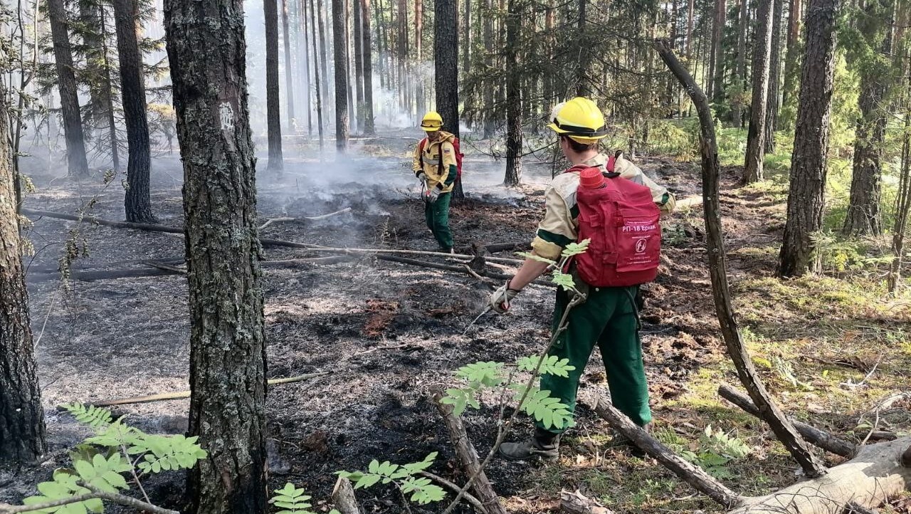 На землях лесного фонда в Марий Эл произошло 10 лесных пожаров