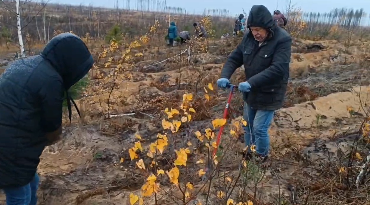 В Марий Эл сотрудники Росреестра присоединились к акции #СохранимЛес