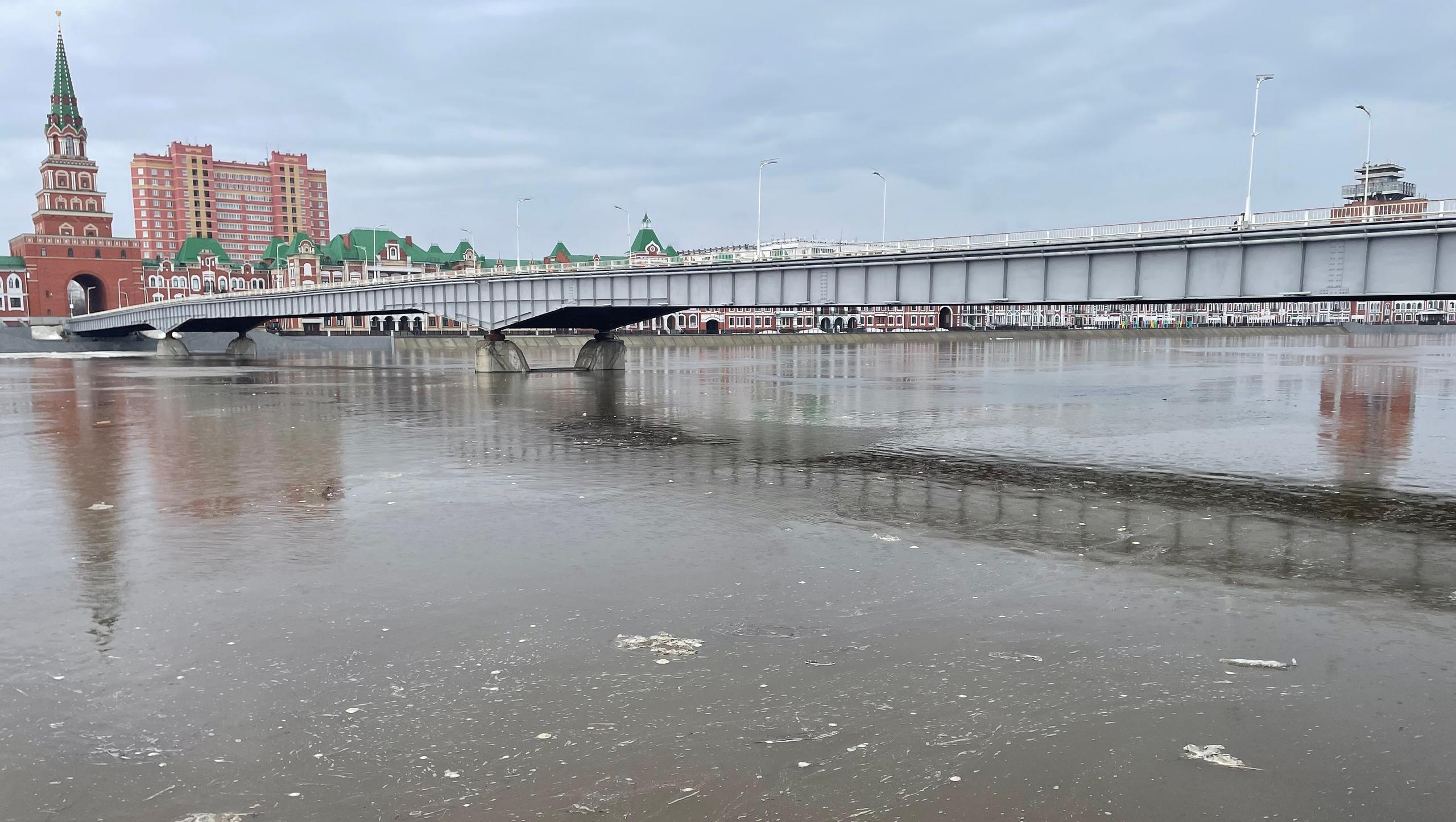 В Йошкар-Оле существенно поднялся уровень воды на реке Малая Кокшага