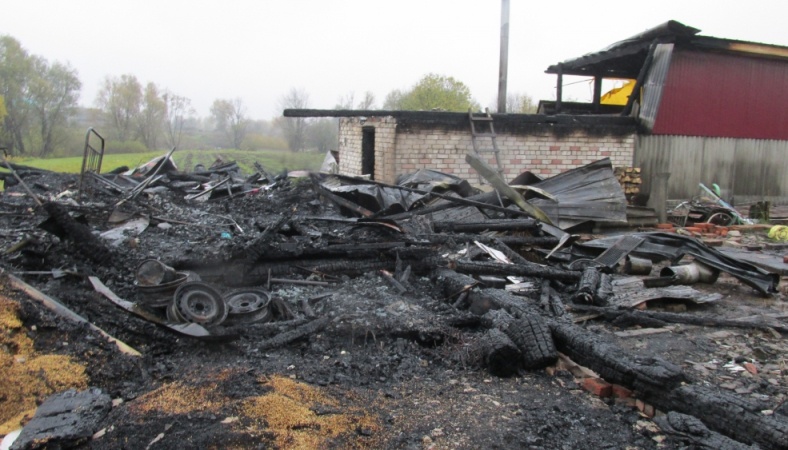Пожарным Куженерского района удалось отстоять жилой дом и хлев