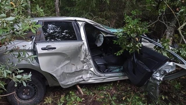 На Казанском тракте в Марий Эл лось врезался в легковую машину