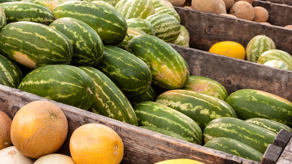 В Йошкар-Оле бахчевые развалы выставлены на торги