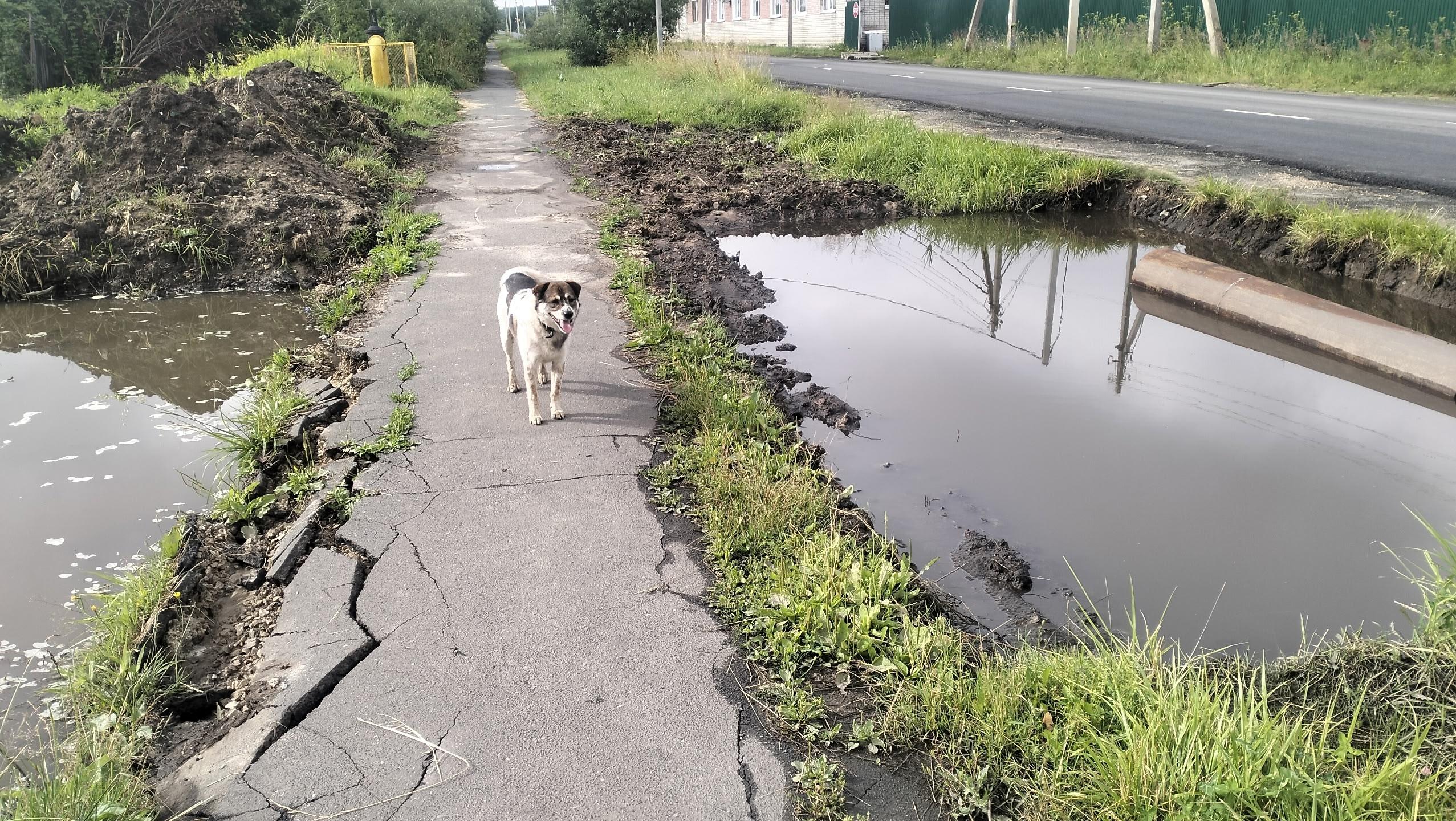 Жители «Тарханово» недовольны качеством ливнёвки  