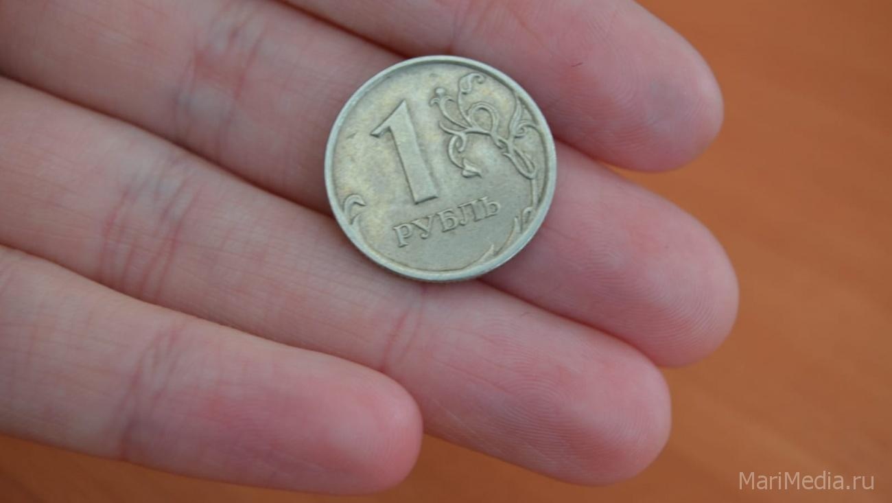 В Марий Эл 12242 семьи, в которых родились дети, поддержали рублём