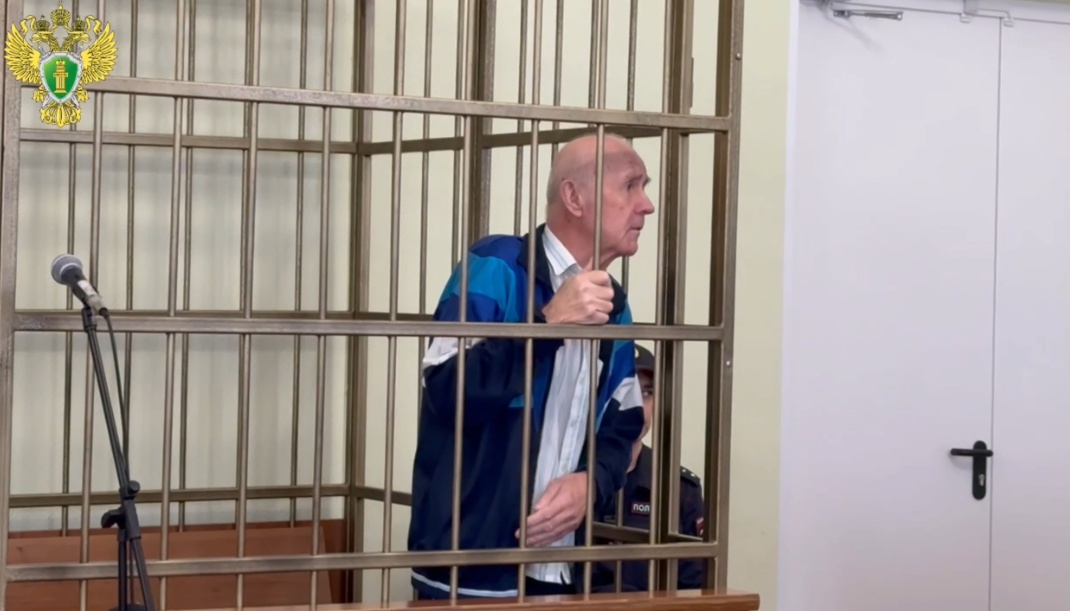 В Марий Эл пенсионера отправили на 12 лет в колонию за убийство тёщи