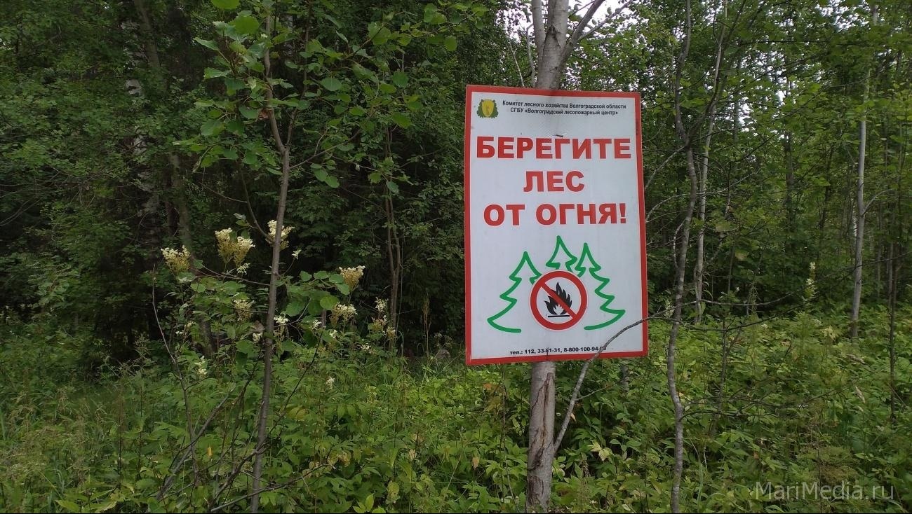 В Юринском районе горел лес