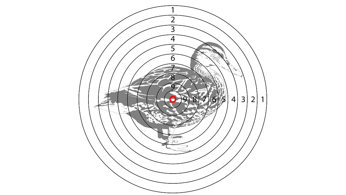 Ружья под запретом – в Марий Эл отменили весеннюю охоту
