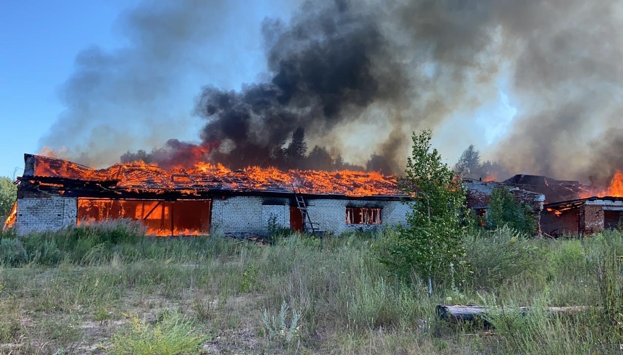 В Марий Эл сгорела ещё одна пилорама