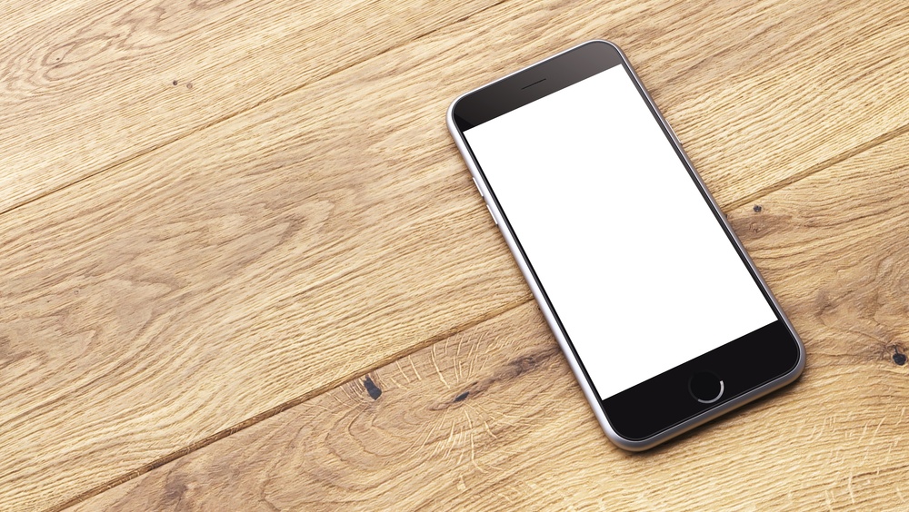 Полиция Марий Эл установила мошенника, организовавшего розыгрыш телефона