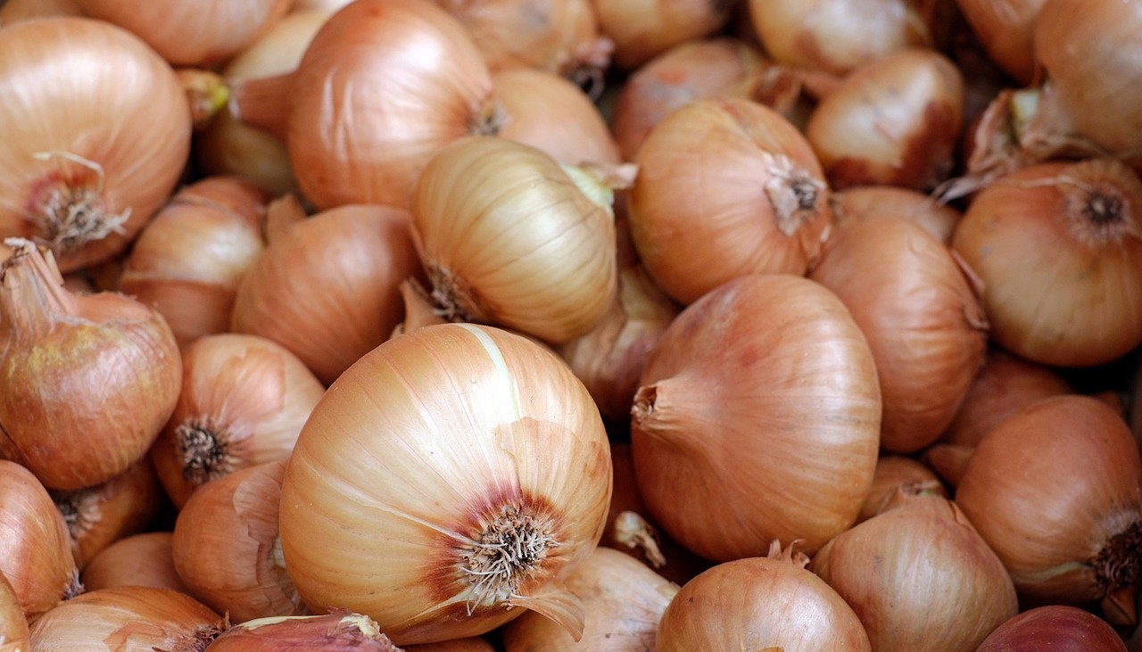 В Россию вернули лук, капусту и гвоздику из Турции