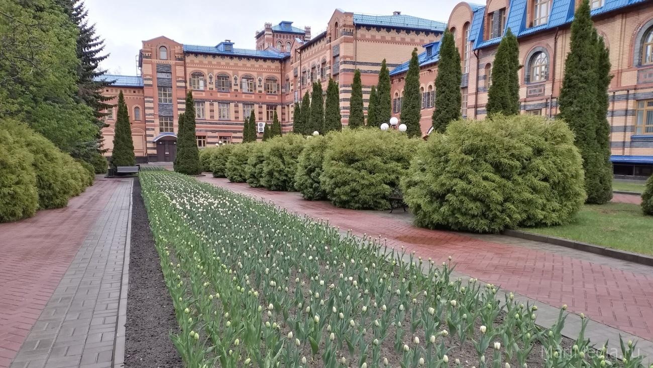 В выходные в Марий Эл воздух прогреется до +18ºС