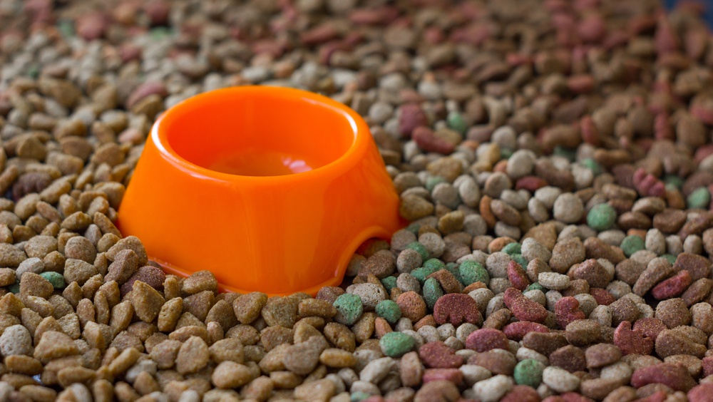 Россия наращивает мощности по производству кормов для домашних питомцев