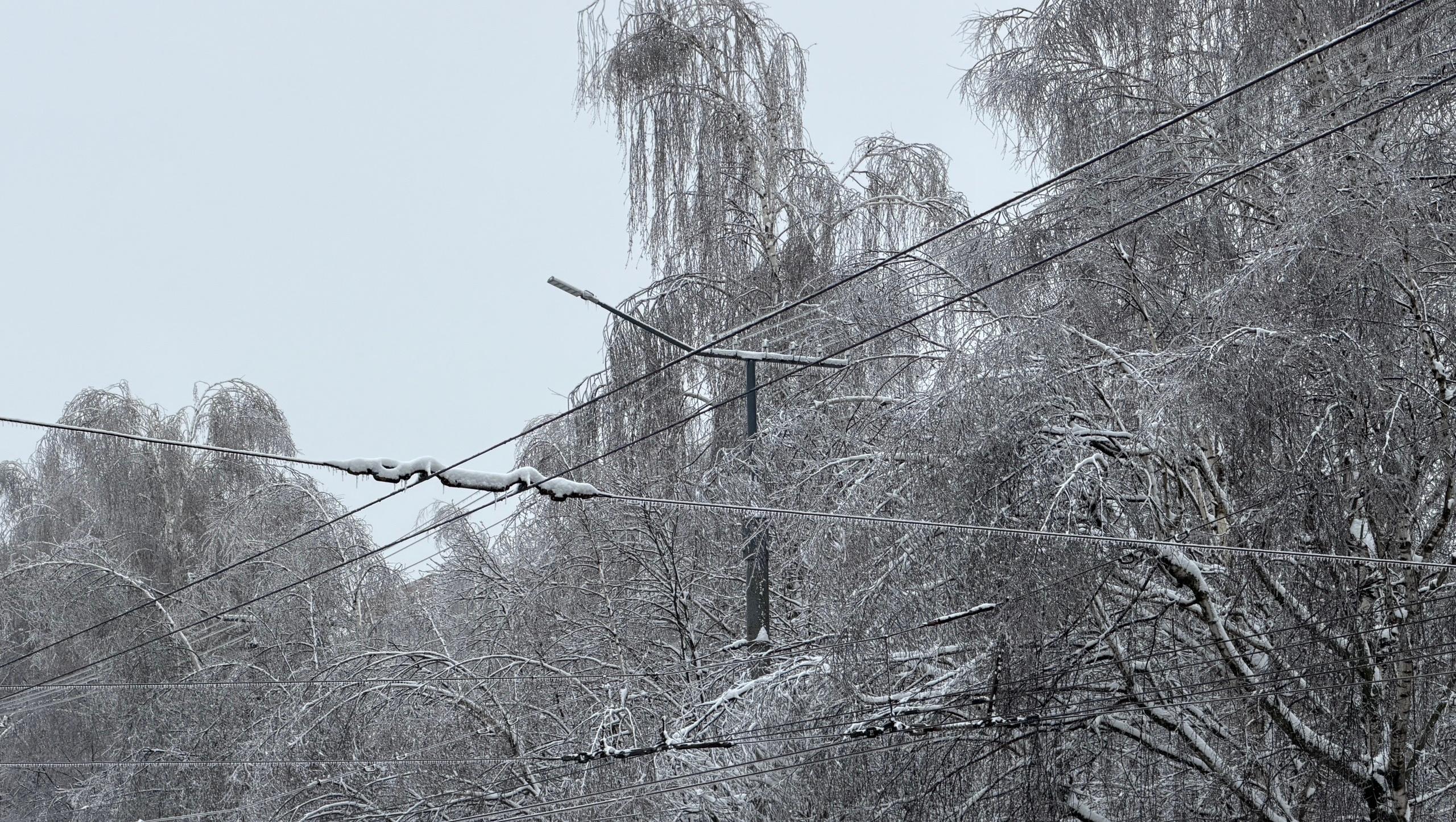 Сегодня в Йошкар-Оле приостановили движение троллейбусов