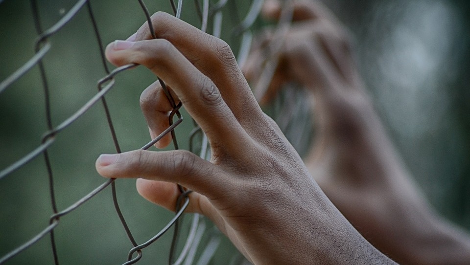 В Марий Эл за полгода лишили свободы 641 человека