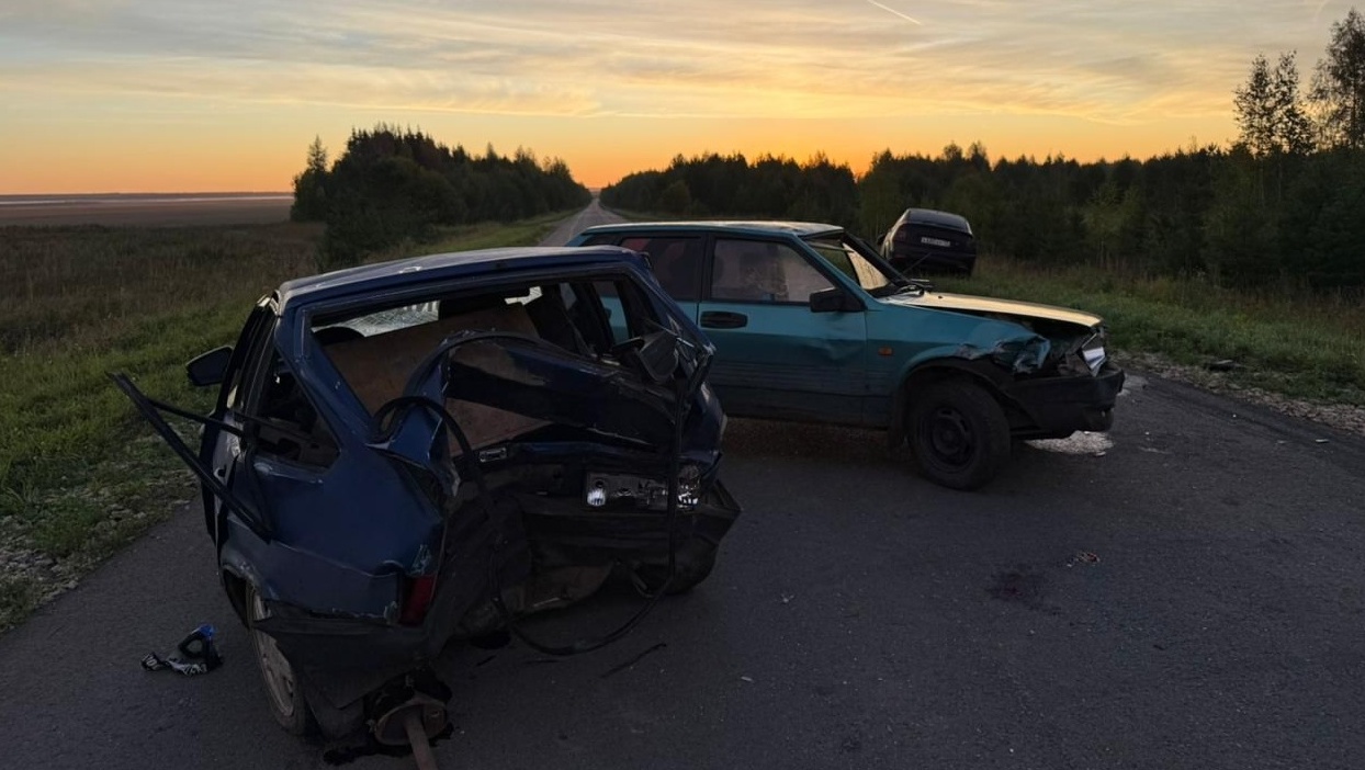 По факту смертельного ДТП в Сернурском районе завели уголовное дело