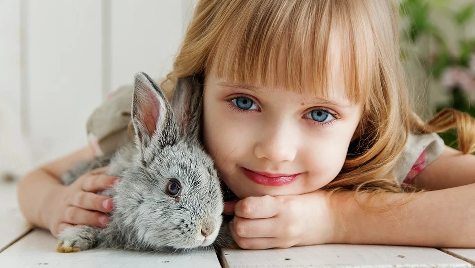 В Марий Эл запретят изымать домашних животных за долги