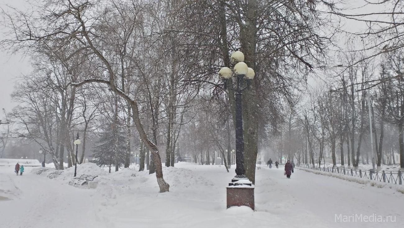 В Марий Эл аномальный холод сменится снегопадами и метелями