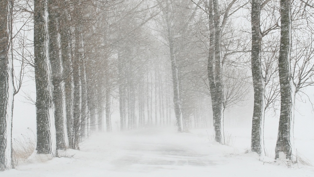 На центральные и восточные районы Марий Эл в ближайшие часы обрушится снегопад